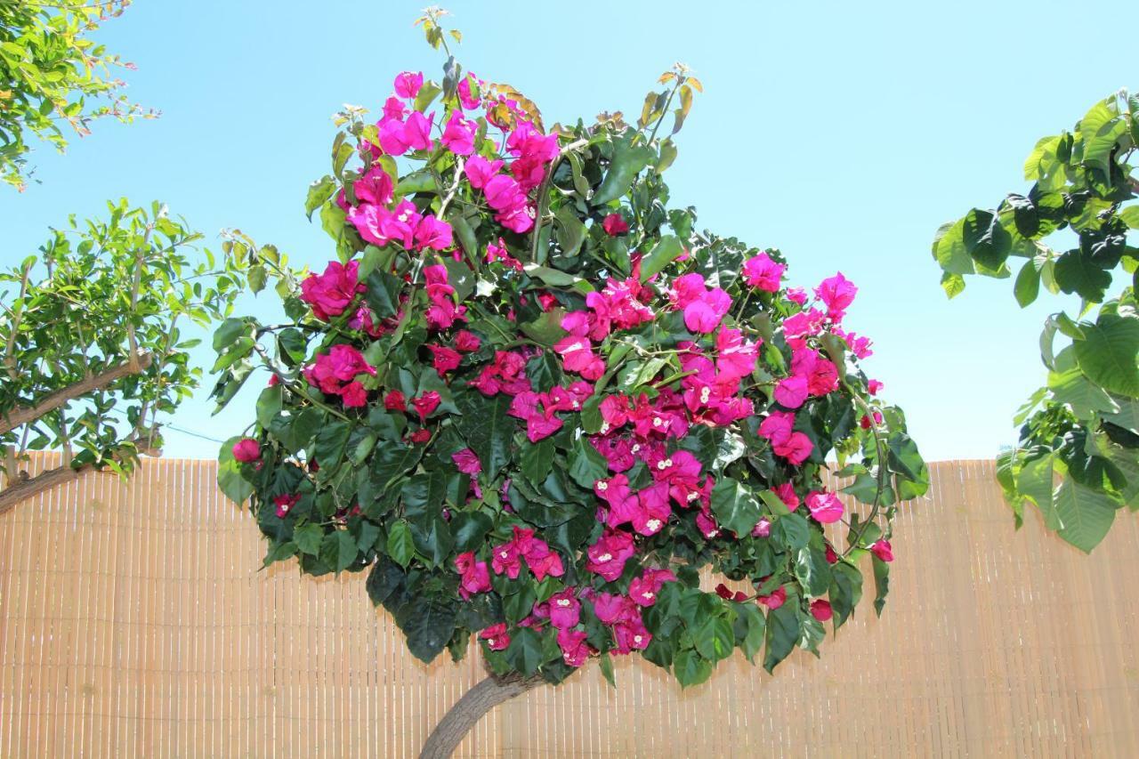 Buzanada Vivatenerife - Gorgeous Villa With Heated Pool מראה חיצוני תמונה